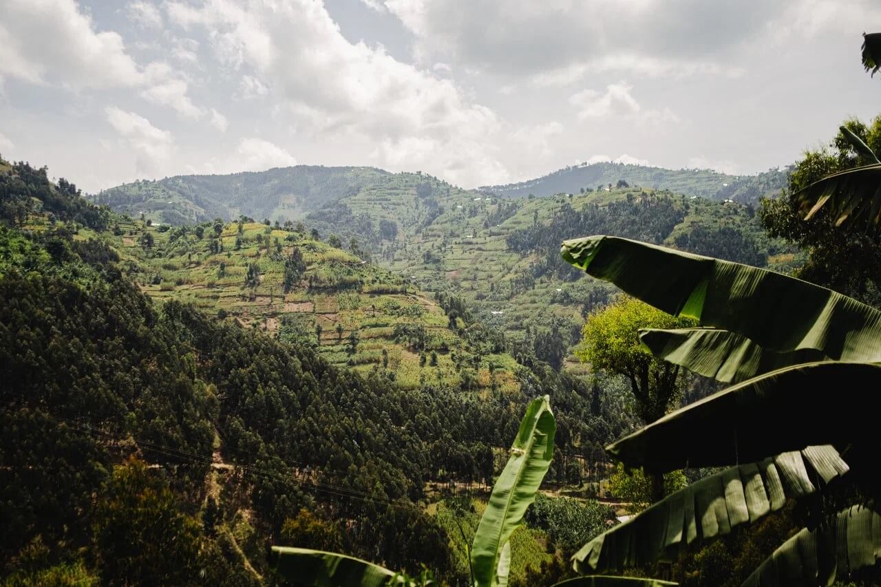 Кофе в Руанде