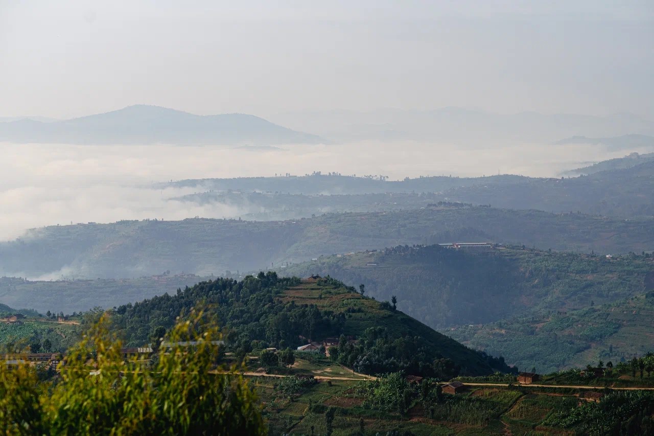 Кофе в Руанде