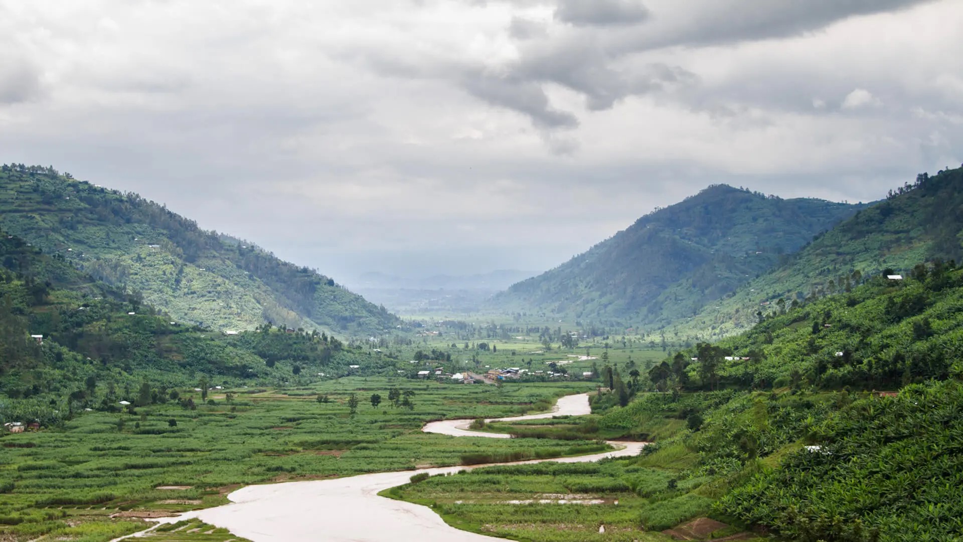 Кофе в Руанде