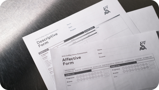 SCA Оценка ценности кофе
