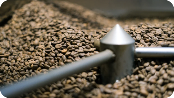 АКЦИЯ НА БРАЗИЛИЮ СЕРРАДО