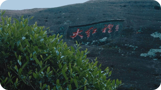 ДА ХУН ПАО — ЧАЙ ИЗ НАЦИОНАЛЬНОГО МУЗЕЯ КИТАЯ