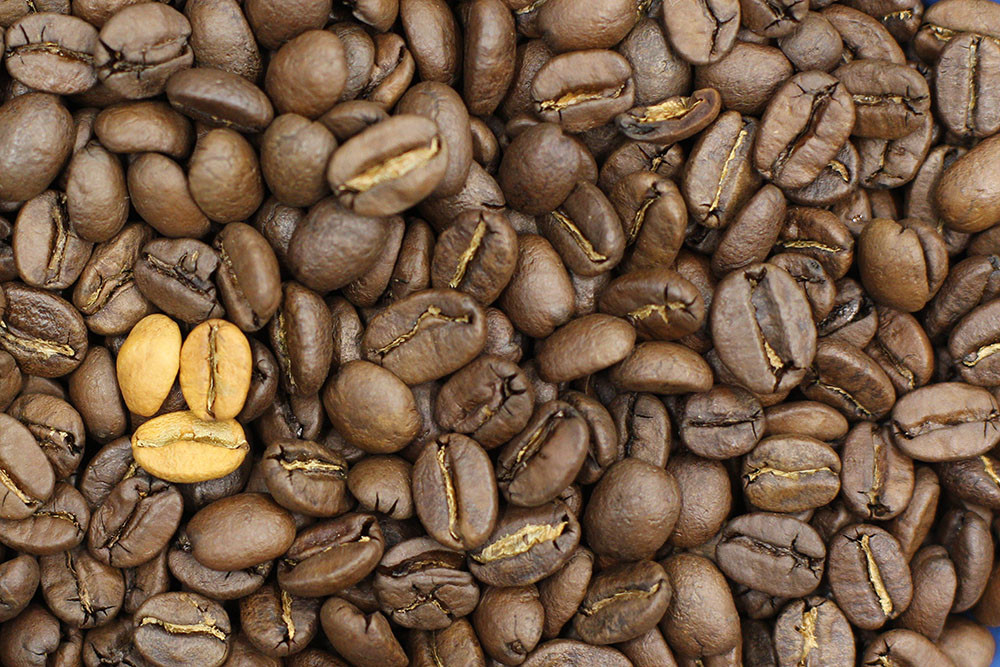 Ферментация кофе: для чего искусственно добавляют микроорганизмы