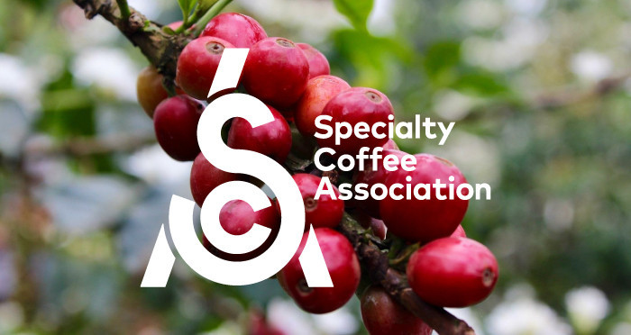 Specialty Coffee Association (SCA): организация, которая развивает индустрию