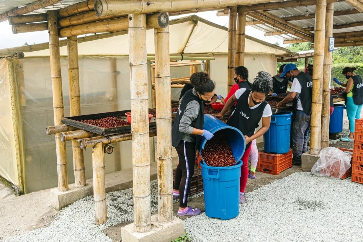 Кофе и молодежь: как привлечь новое поколение фермеров