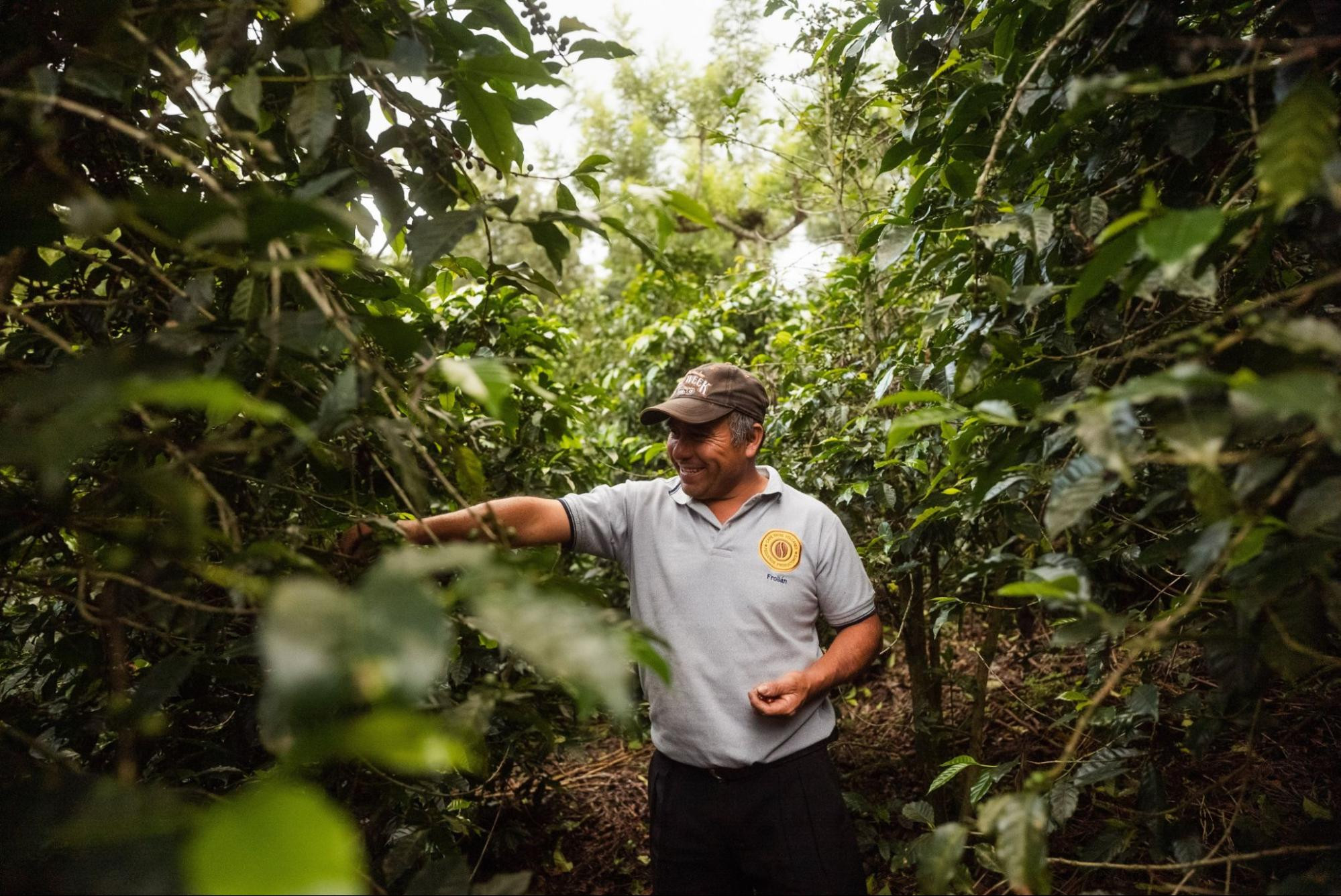 Меры социальной поддержки фермеров на примере Гватемалы