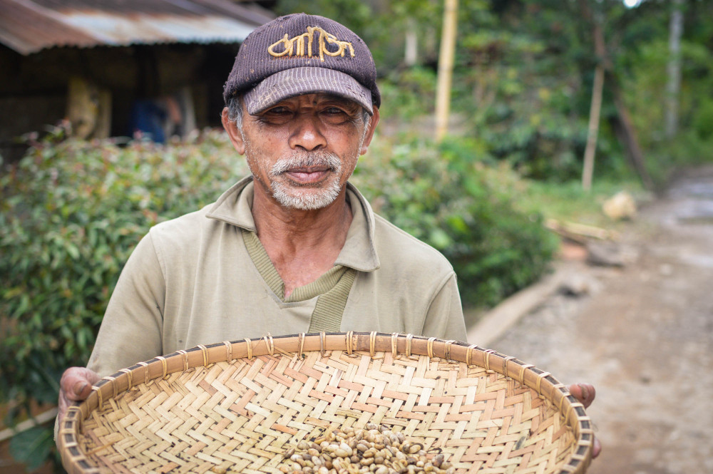 Как устроена индустрия кофе в Индонезии