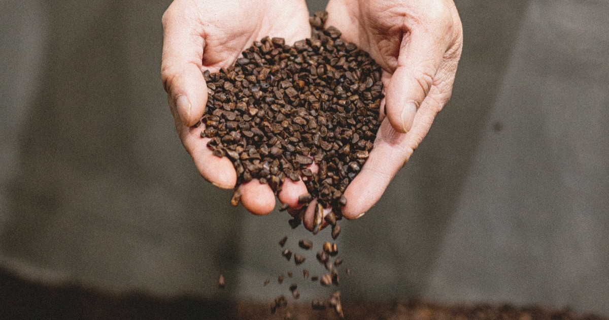 Молекулярный кофе: компания из Сиэтла воссоздала вкус кофе из доступных ингредиентов