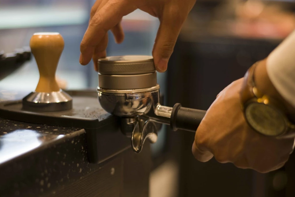 Чех эротикалық модельдері