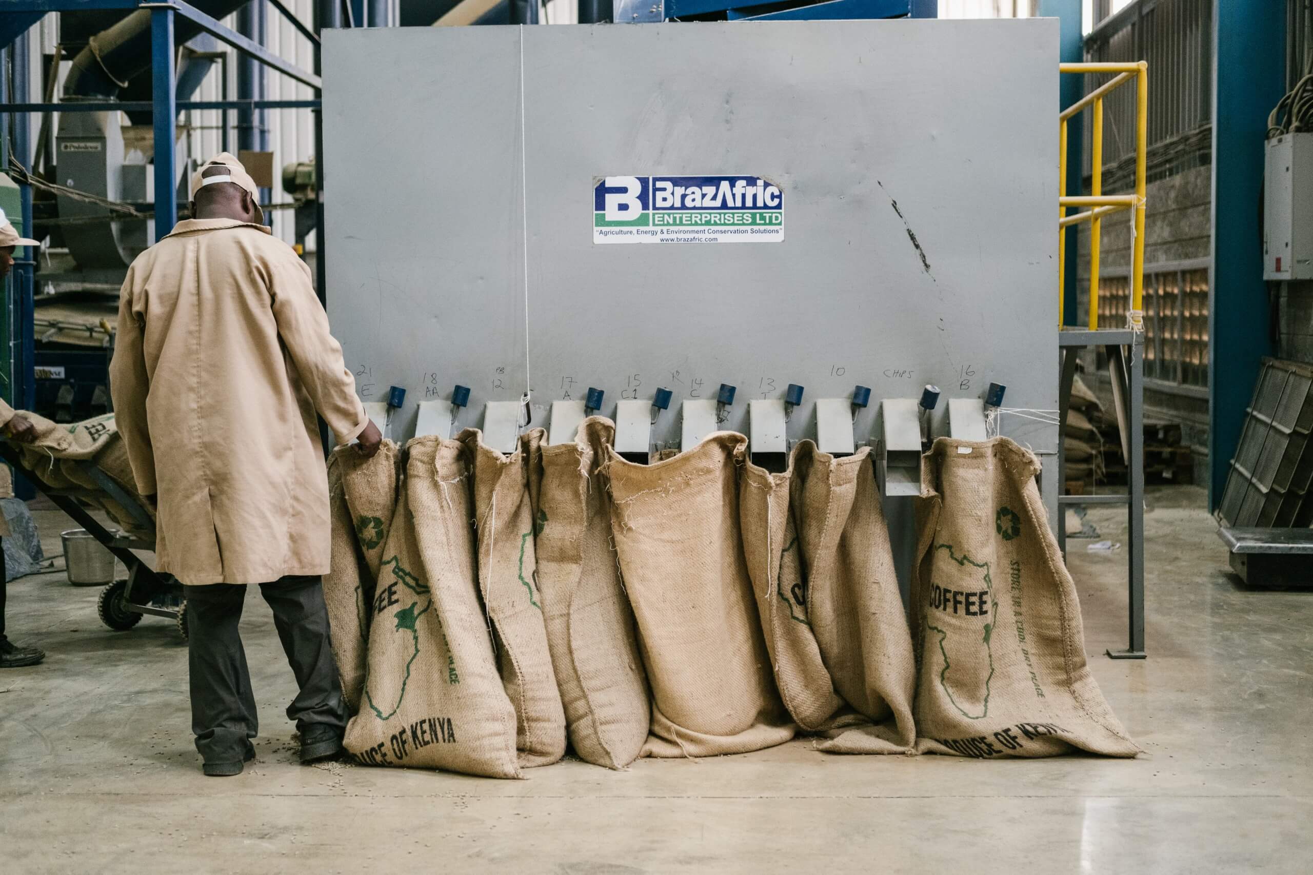 Зелёный кофе упаковывается в мешки