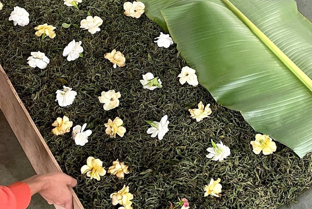 Производство инфьюзд чая с гарденией