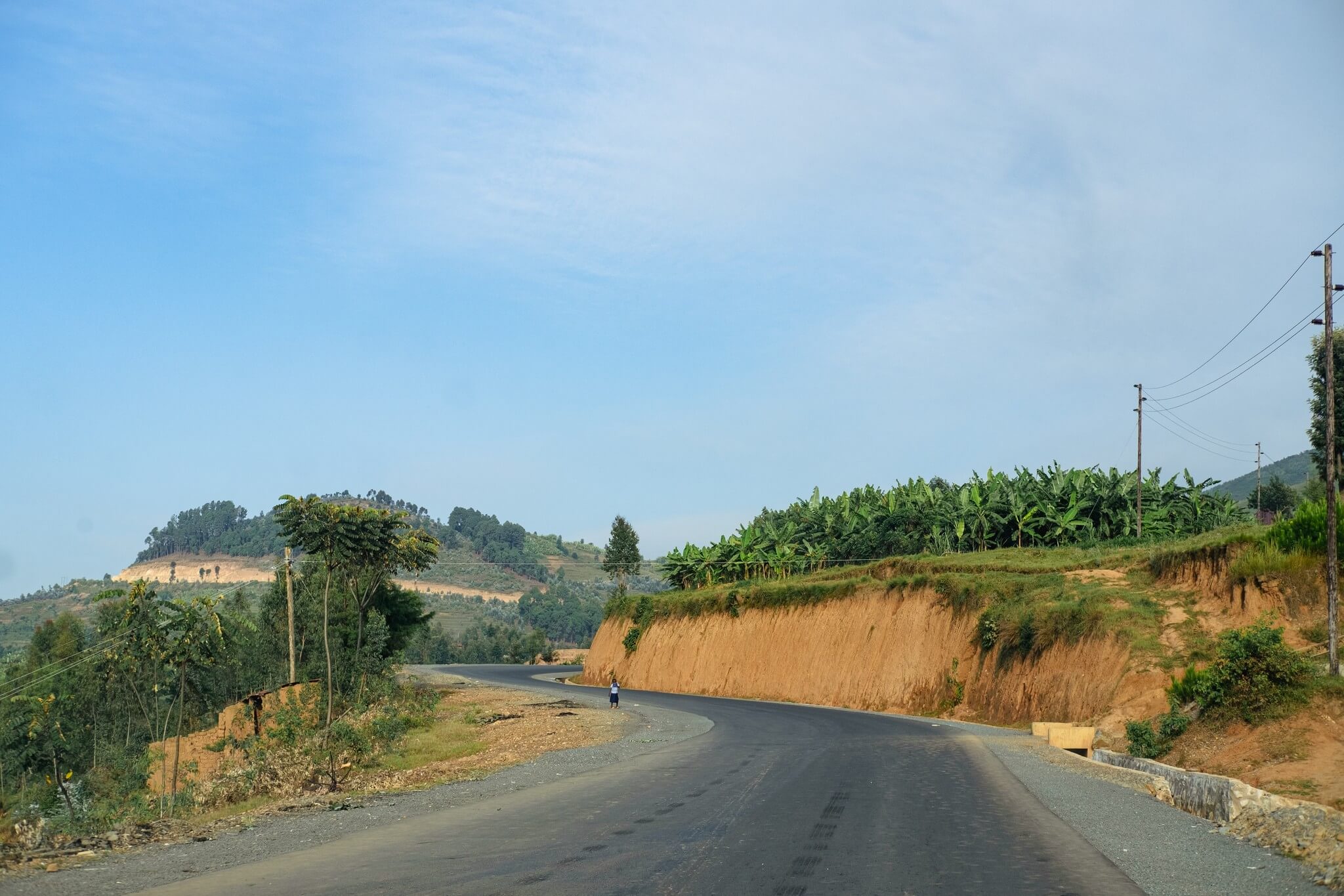 Карта кофейных регионов мира — во всех основных странах происхождения из-за климатических изменений увеличилось количество жарких дней