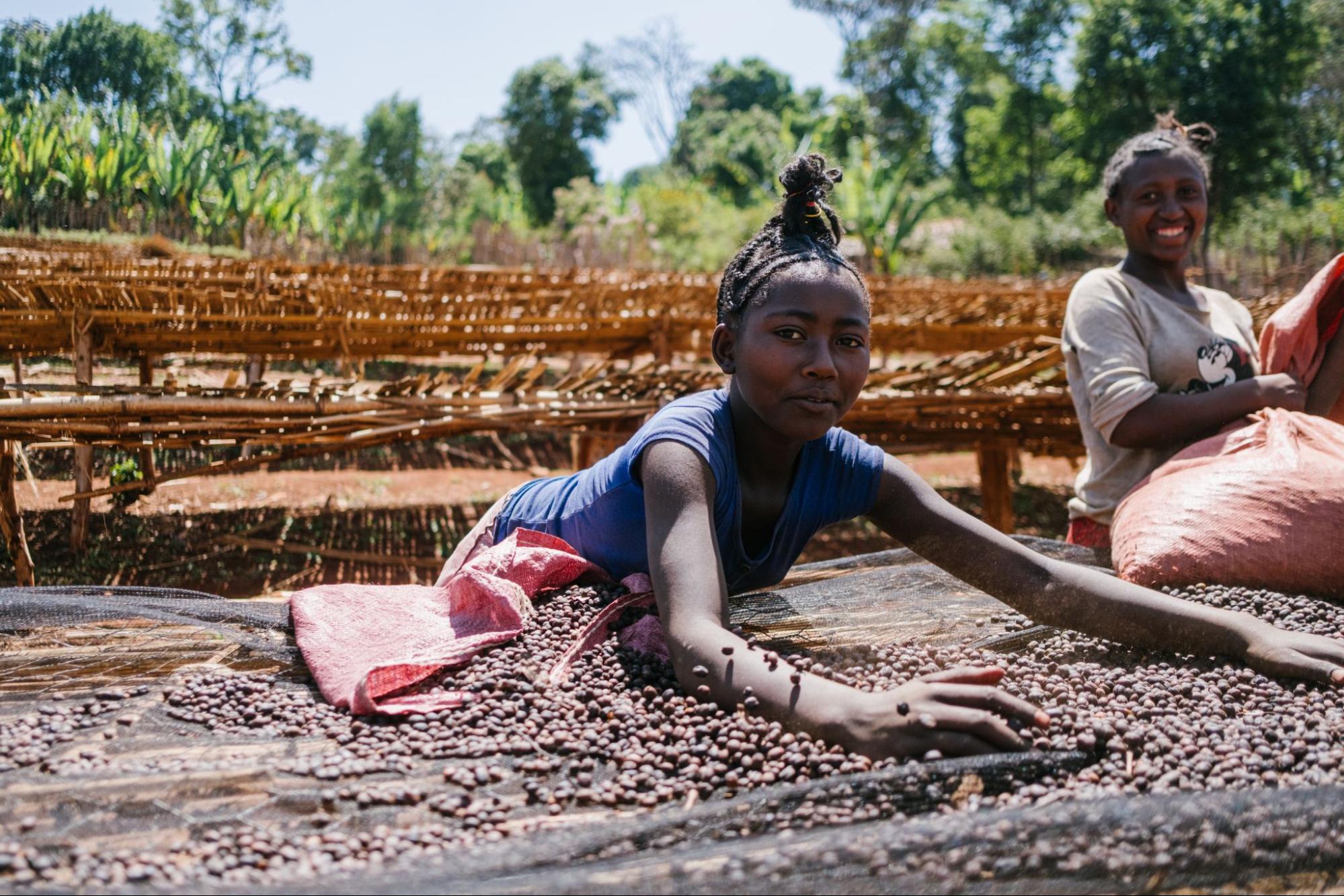 Детский и семейный труд на кофейных фермах