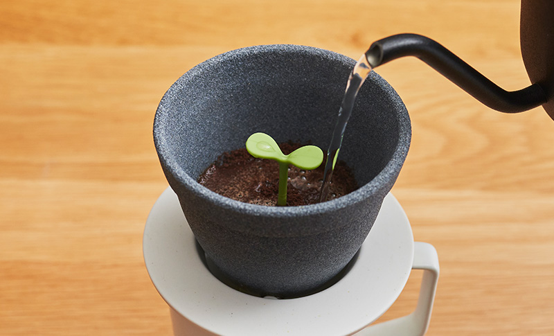 Маленький искусственный росток в центре — весы, которые помогают выдержать правильные пропорции кофе и воды