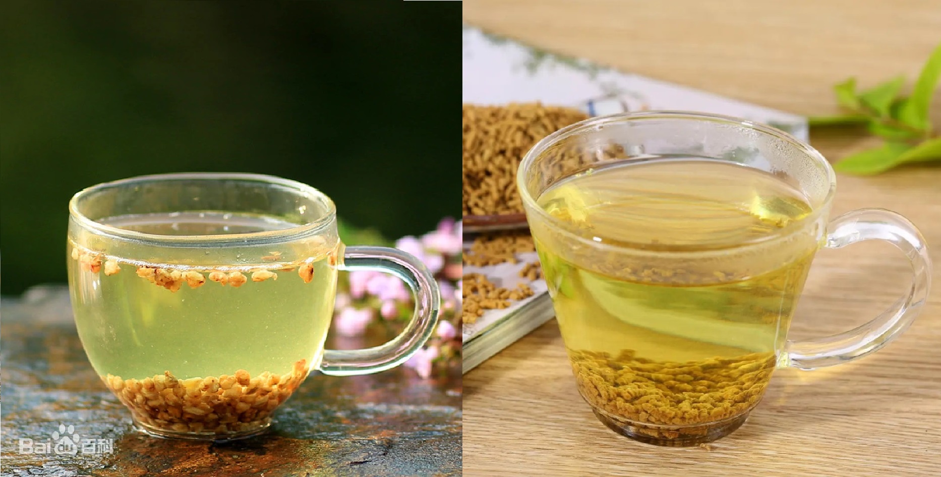 Заваренный гречишный чай: слева — из семян, справа — из отрубей