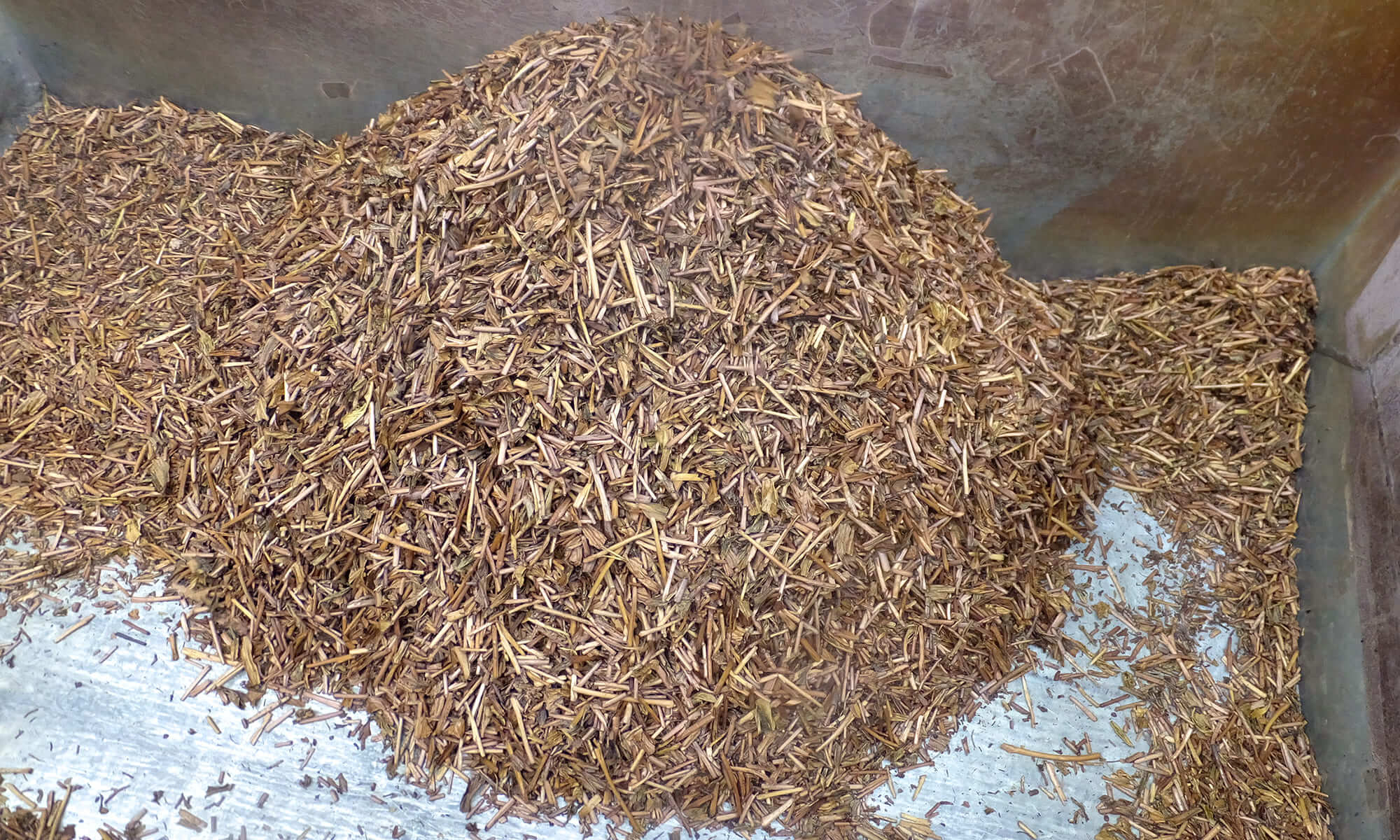 Ходзича на производстве после обжарки