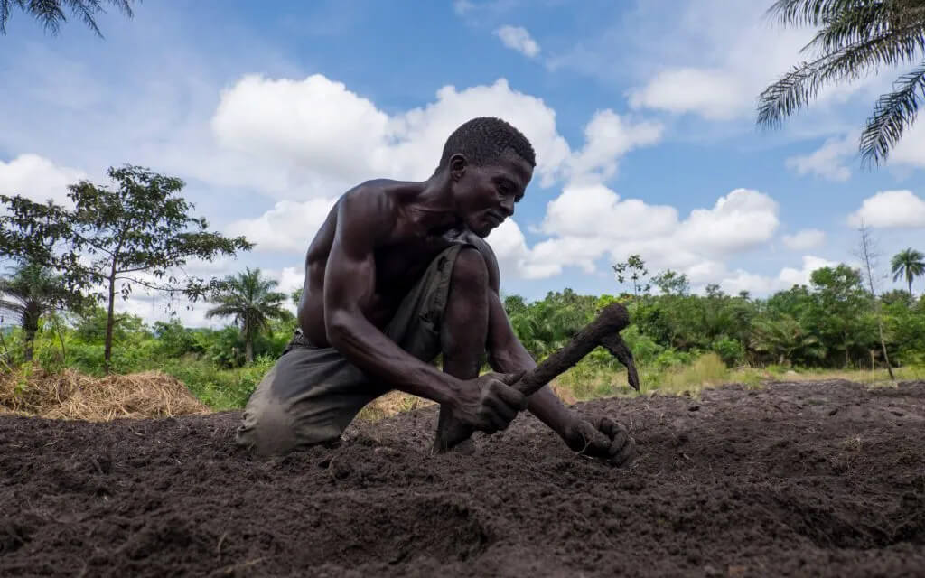 Рабочий фермы в Либерии
