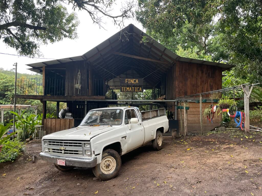 Фотография с кофейной фермы