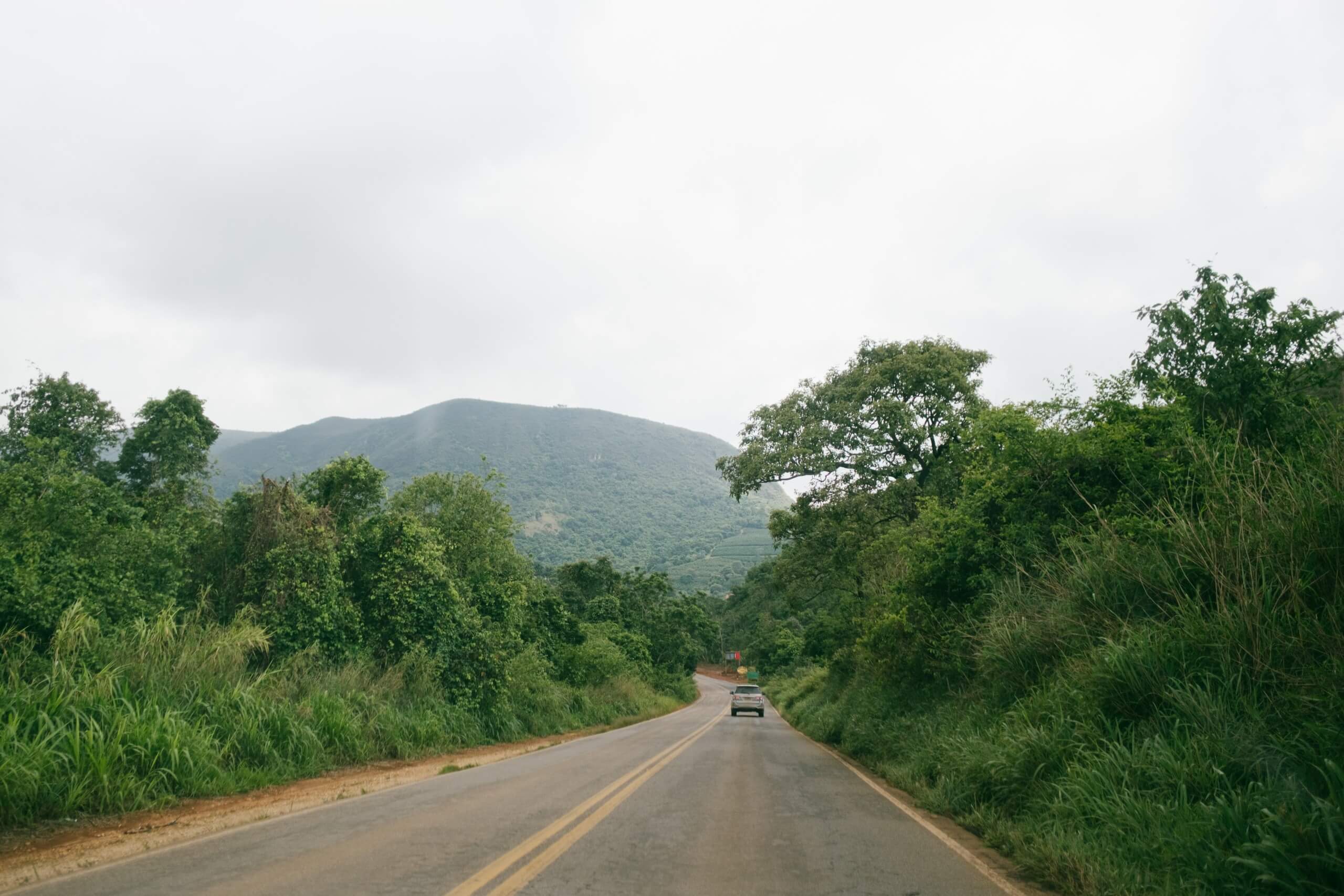 Кофе из Коста-Рики: история, особенности производства, наши партнеры