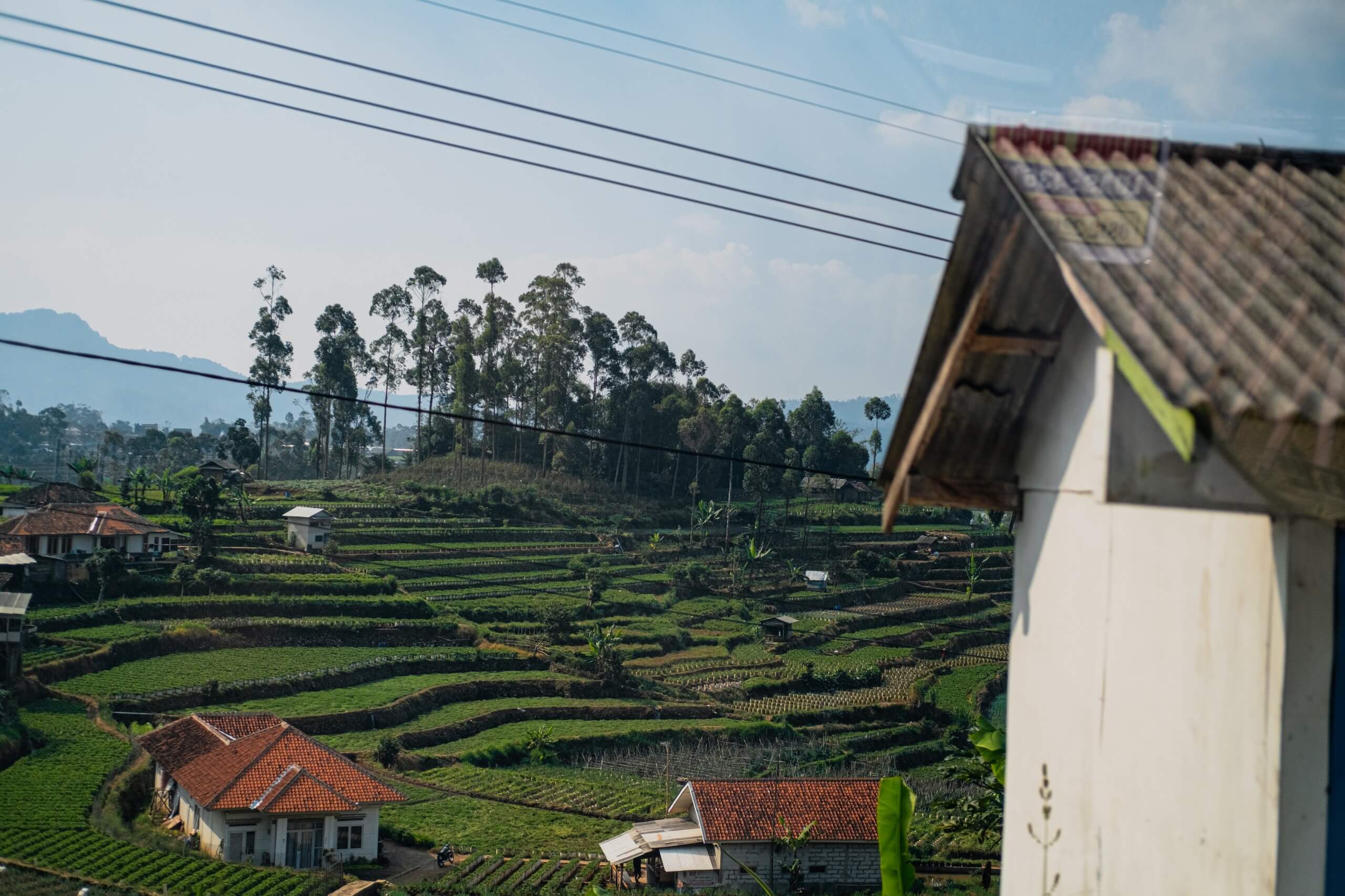 Здание на кофейной плантации
