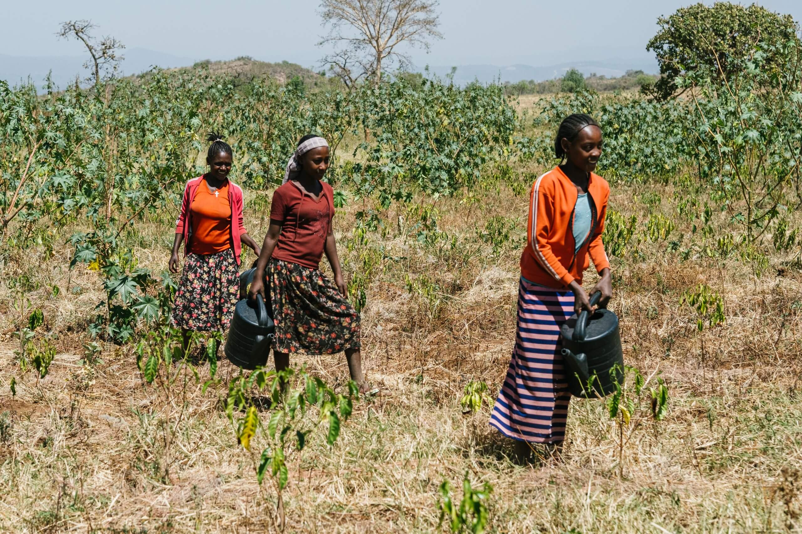 Работа людей на плантациях