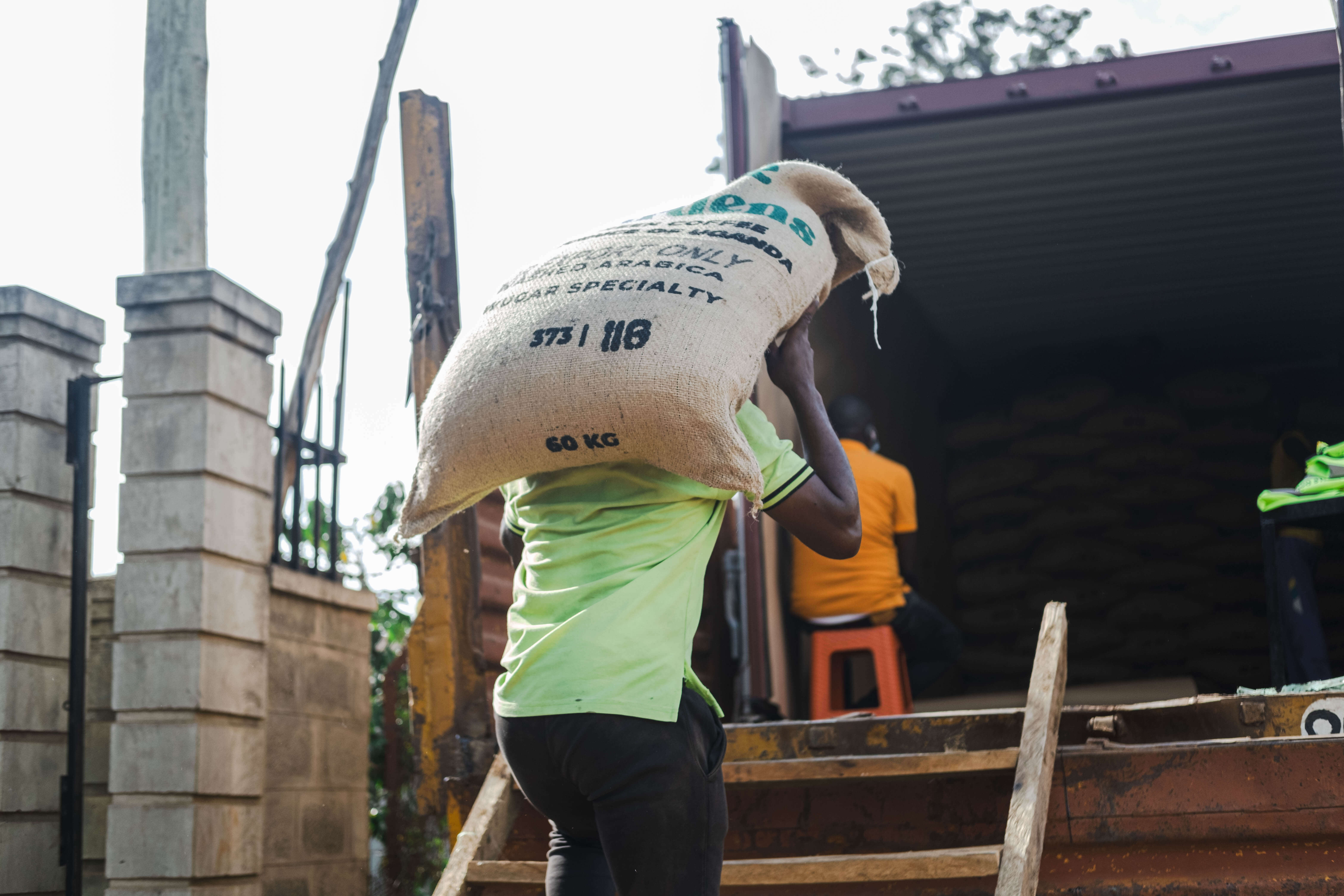 Погрузка мешков с зелёным кофе