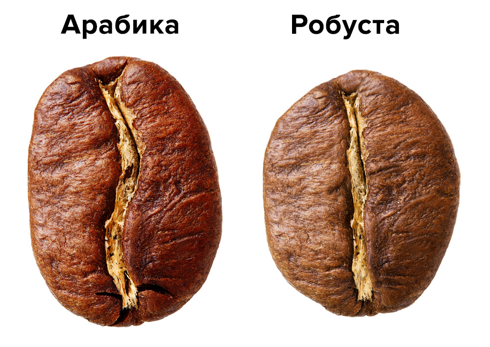 Сравнение формы зерен арабики и робусты крупным планом